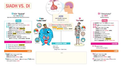 Endocrine handout Siadh vs DI - 7 S's SIADH "Soaked" "Yes" ADDS DA H 2 ...