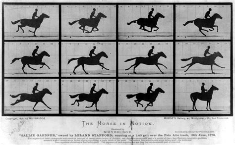 File:The Horse in Motion.jpg - Wikipedia, the free encyclopedia