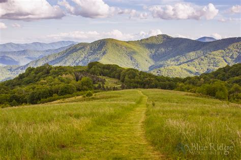 Maggie Valley Hiking Trails - Maggie Valley NC Life