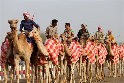 Toyeen B's World: Interesting Photos: Camel racing festival in UAE with Dubai Crown Prince in ...