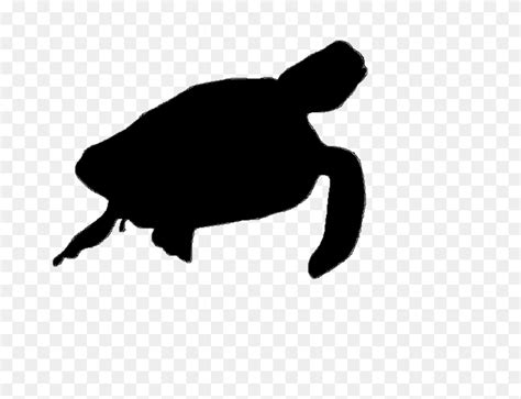 Green Sea Turtle Silhouette Art - Sea Turtle PNG - FlyClipart