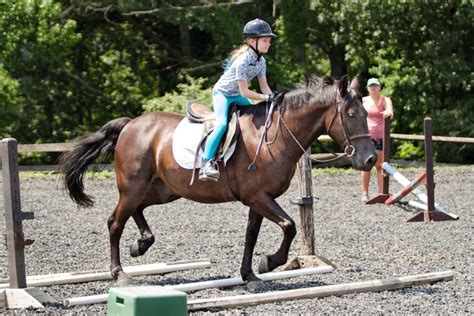 Horseback Riding Camps and Lessons Near Philadelphia Delaware Valley, Kids Things To Do ...