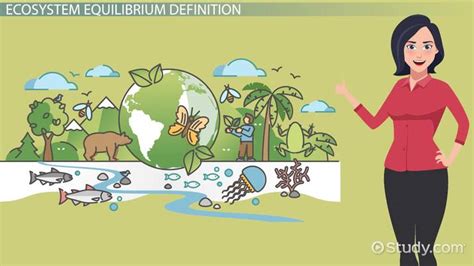 Ecosystem Equilibrium | Overview & Species - Lesson | Study.com