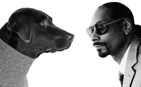 Celebrity Snoop Dogg - Weight, Height and Age