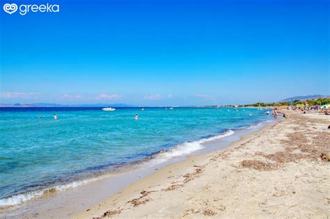 Kos Tigaki beach: Photos, Map, See & Do | Greeka