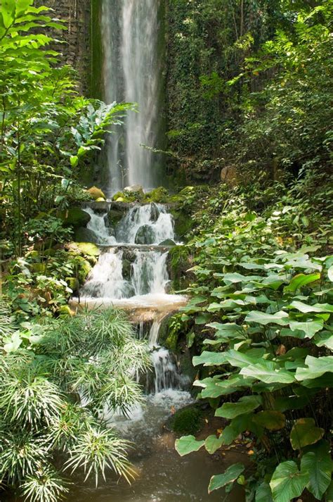 Tropical Forest Waterfall stock image. Image of rocks - 8234467