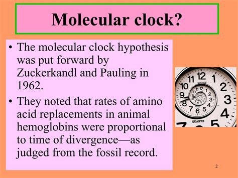 PPT - Molecular clocks PowerPoint Presentation, free download - ID:2883128