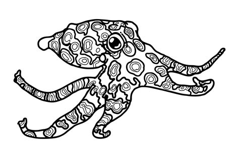 Blue Ringed Octopus Drawing