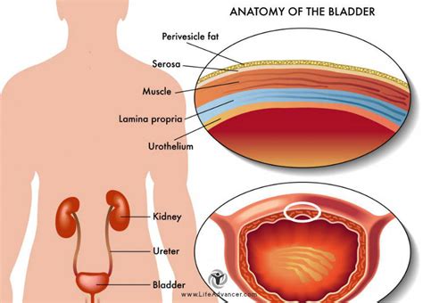 These Are the Most Common Causes of Frequent Urination in Men