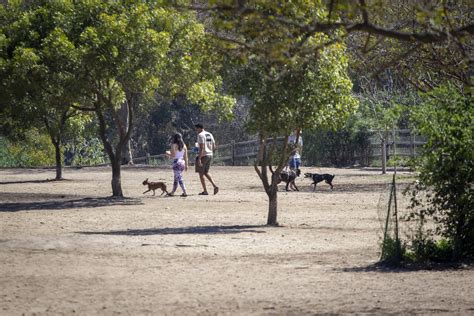 Dog Parks - Balboa Park