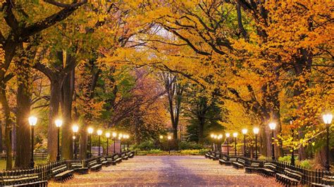 Central Park Autumn Wallpapers - Top Free Central Park Autumn ...