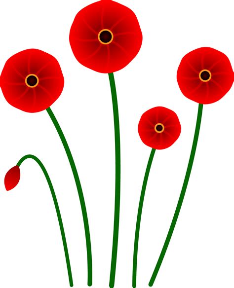 Free Poppy Flower Cliparts, Download Free Poppy Flower Cliparts png images, Free ClipArts on ...