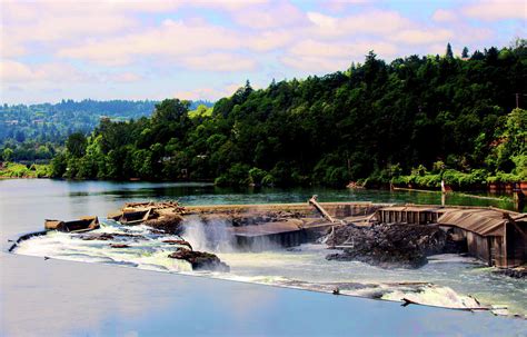 Willamette Falls Oregon City Photograph by Cathy Anderson