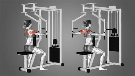 Pec Deck Machine Rear Delt Fly: Benefits, Muscles Worked, and More ...