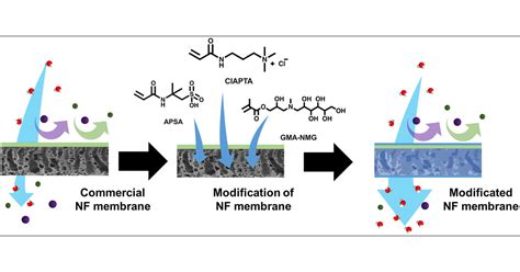 Surface Modification of Nanofiltration Membranes by Interpenetrating ...