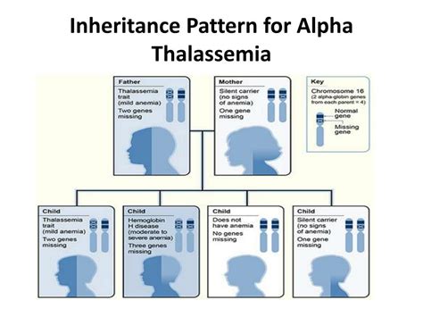 PPT - THALASSEMIA PowerPoint Presentation, free download - ID:2128667