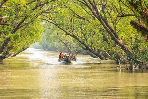 Great Explore | Sundarban Reserve Forest Of Bangladesh | Royal Sundarban Tourism 2024