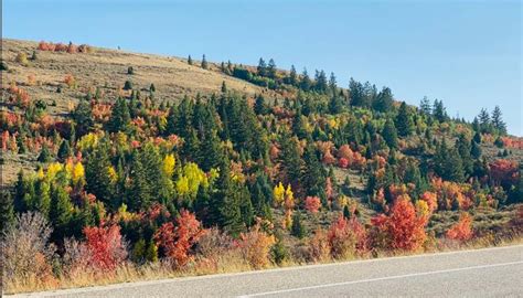 HELLO FALL - Bear Lake Landscape