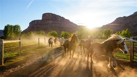 Sorrel River Ranch Resort & Spa - Moab Hotels - Moab, United States ...