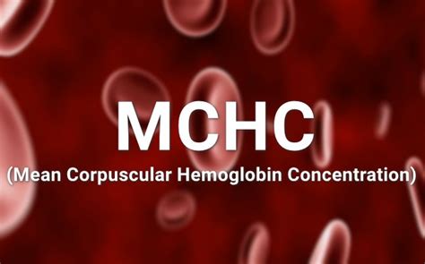 Mean Corpuscular Hemoglobin Concentration (MCHC) - High and Low levels interpretation, Normal Range