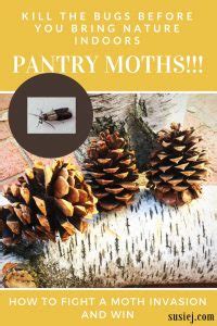 How I Finally Got Rid of Pantry Moths! – Susiej