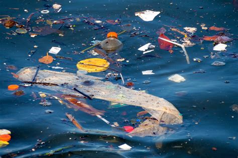 Can New Biodegradable Plastic Help Solve the Plastic Pollution Problem? - Advancing Materials