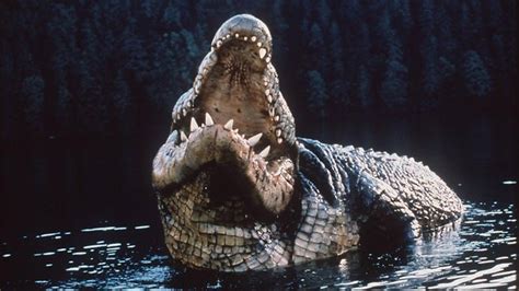 Black Lake Crocodiles | Movie Monster Wiki | FANDOM powered by Wikia