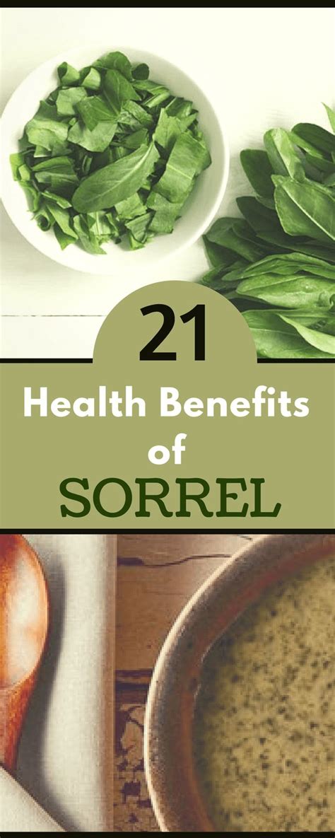 21 Science-Based Health Benefits of Sorrel Leaves | Health, Health benefits, Nutrition