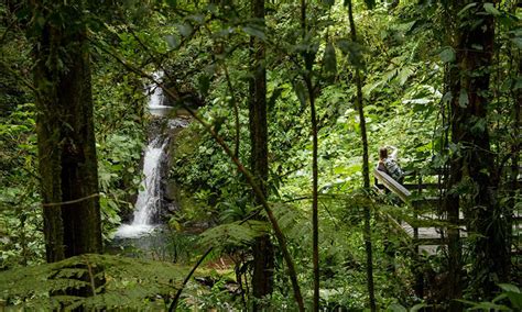 A Visit to The Monteverde Cloud Forest Reserve