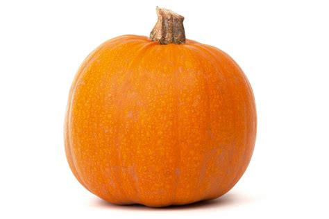Big round orange pumpkin free image download