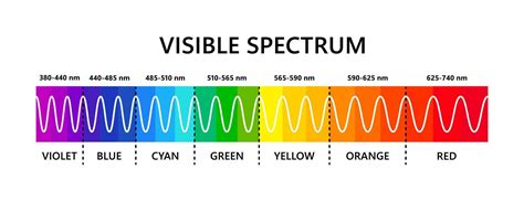 espectro de luz visible. longitud de onda de la luz óptica. espectro de color electromagnético ...