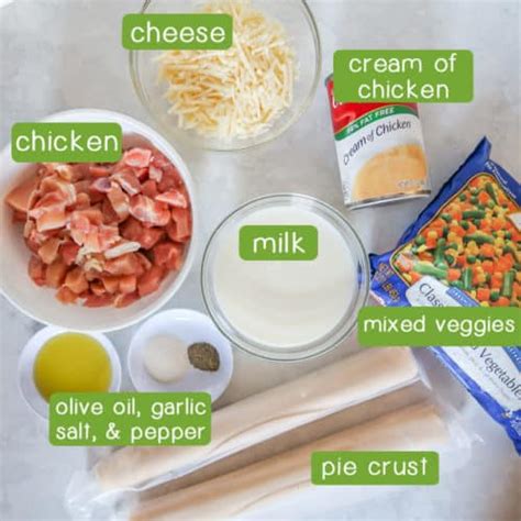 Easy Chicken Pot Pie - Dizzy Busy and Hungry!