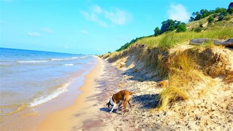 Kruse Park Lake Michigan Beach - 28 Photos & 14 Reviews - Beaches ...