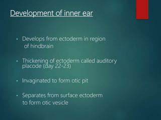 Anatomy of the Inner ear | PPT