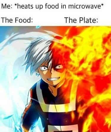 20 Hilarious Todoroki Memes That Are Plus Ultra Funny