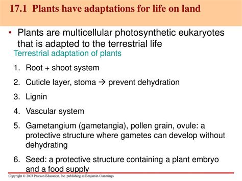 Chapter 17. Plants, Fungi, and the Colonization of Land - ppt download