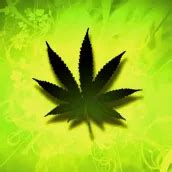 Download Weed HD Live Wallpaper android on PC