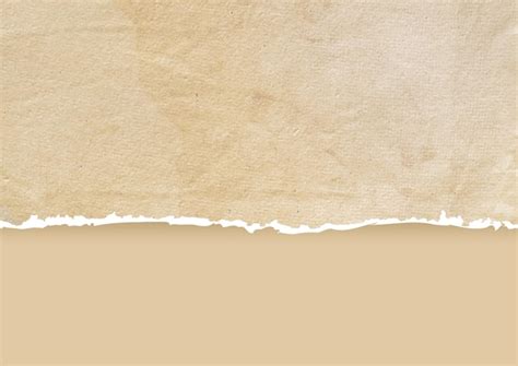 Free Vector | Detailed grunge torn paper background