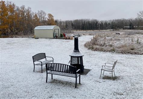 Snowfall warnings in effect for parts of southern Alberta | CBC News