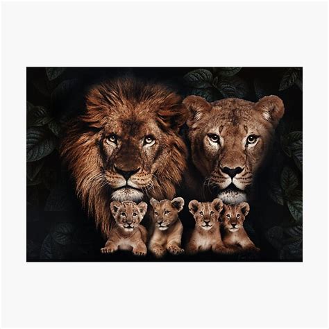 "Lion family with four cubs" Photographic Print for Sale by h-special ...