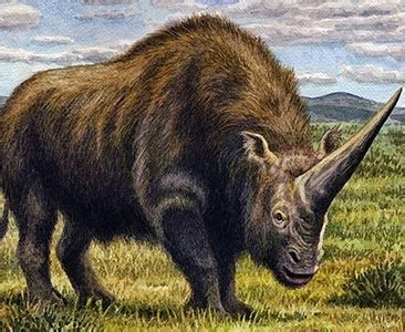 Extinction of large mammals in the Late Quaternary Ice Age | Natural ...