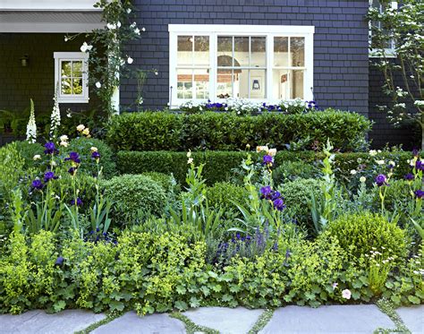 Expert Tips for Growing and Designing with Beautiful Boxwood | Boxwood garden, Garden hedges ...