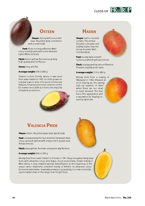 The main mango varieties