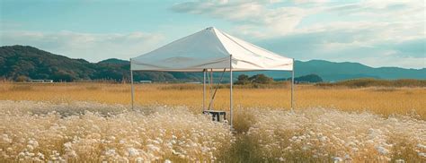 Everything about Pop-up Tents: A Complete Guide