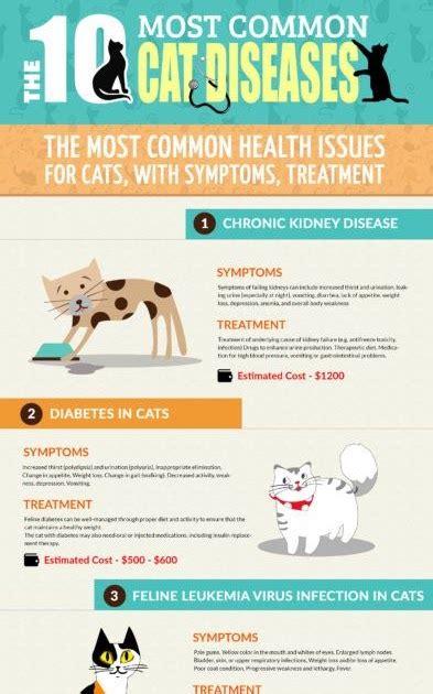 Val Heart And Friends LLC: The 10 Most Common Cat Diseases And Their Symptoms Infographic