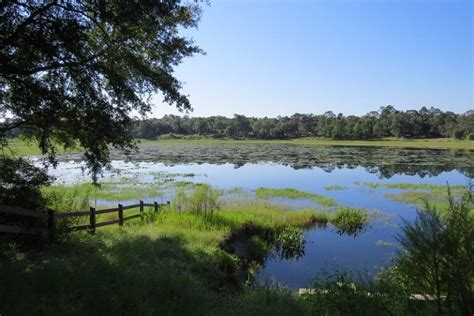 15 Amazing State Parks near Gainesville, FL (+ Map) – Wild