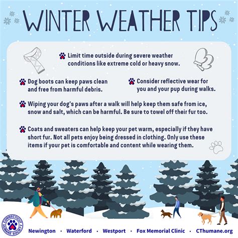 Winter Safety Tips – Connecticut Humane Society