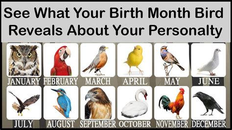 See What Your Birth Month Bird Reveals About Your Personalty - LolzPlus ...