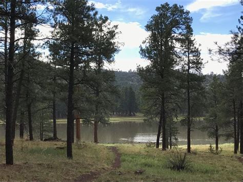 Kaibab Lake Campground - UPDATED 2017 Prices, Reviews & Photos (Williams, AZ) - TripAdvisor