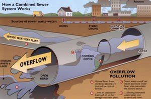 Understanding City Stormwater & Sewage Systems - Potomac Riverkeeper Network